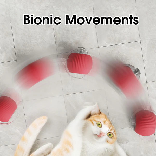 Interactive Play Ball With Tail